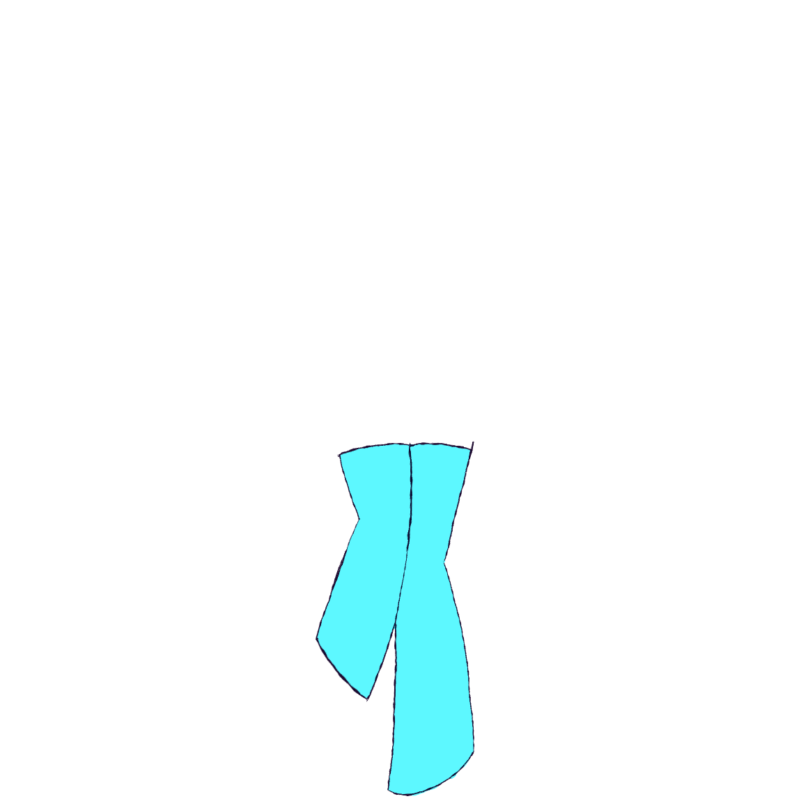 long aqua socks