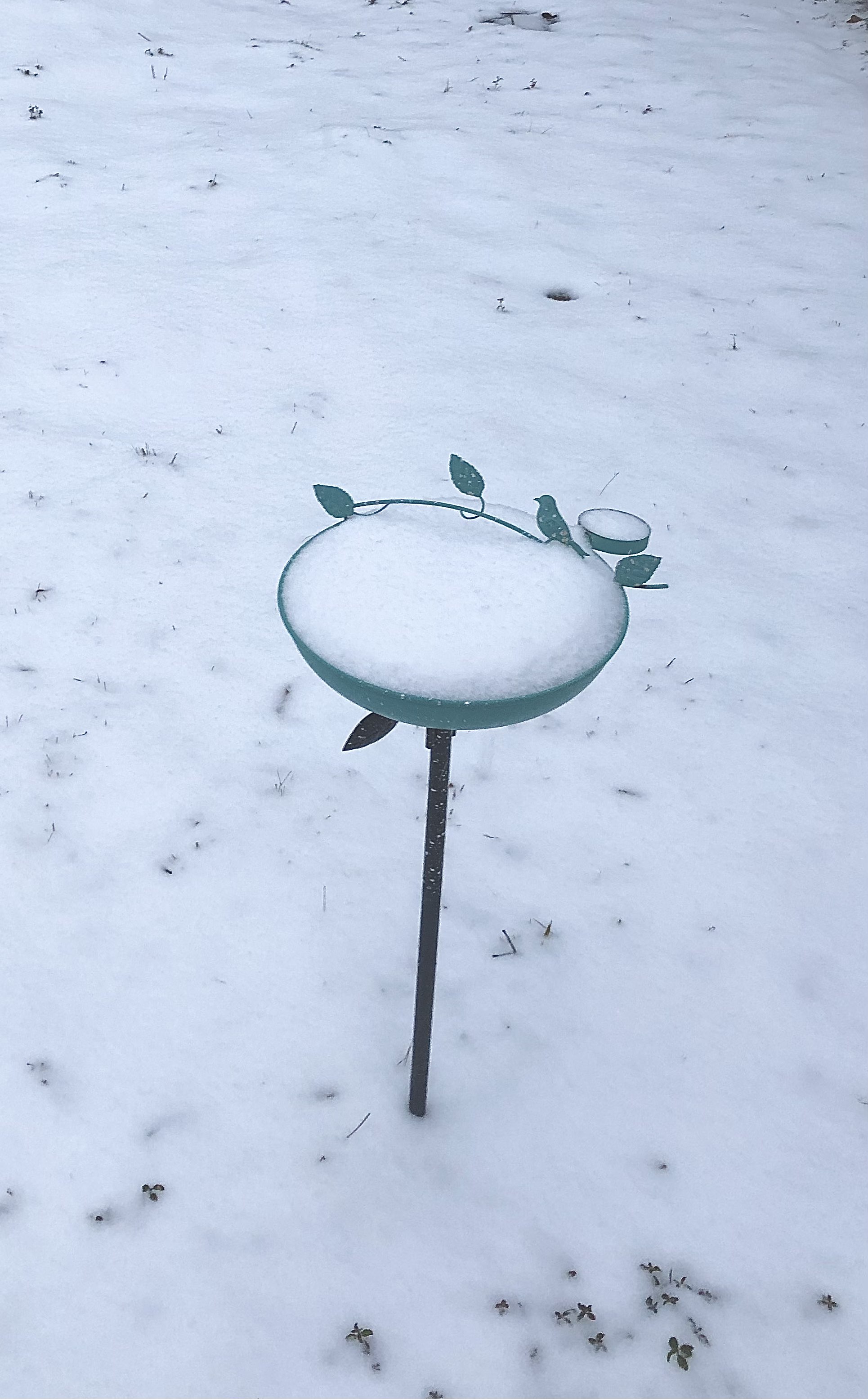 birdbath covered in snow