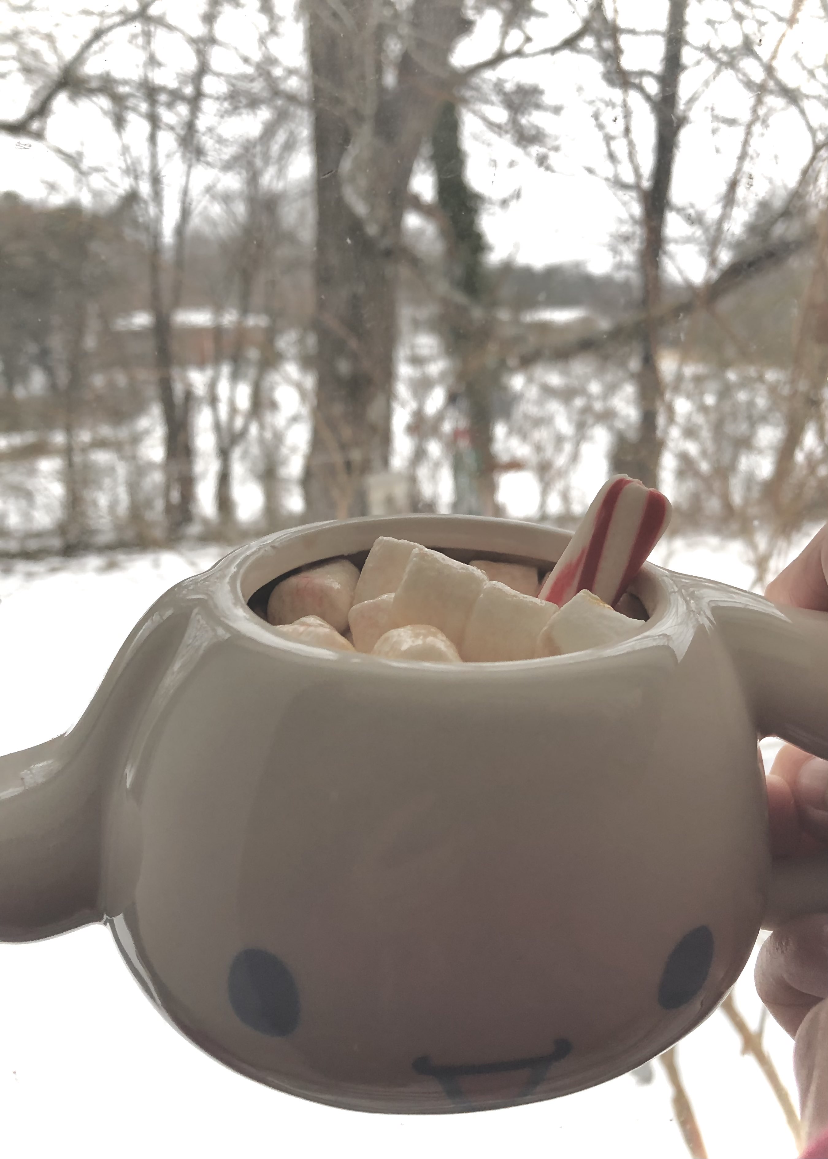 hot cocoa with marshmallows in a cinnamoroll mug