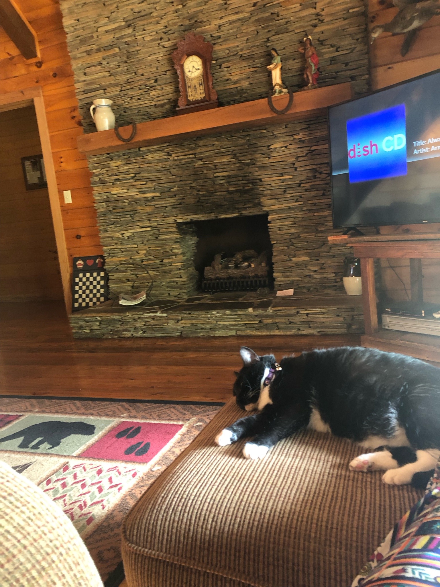 cat laying on stool in living room