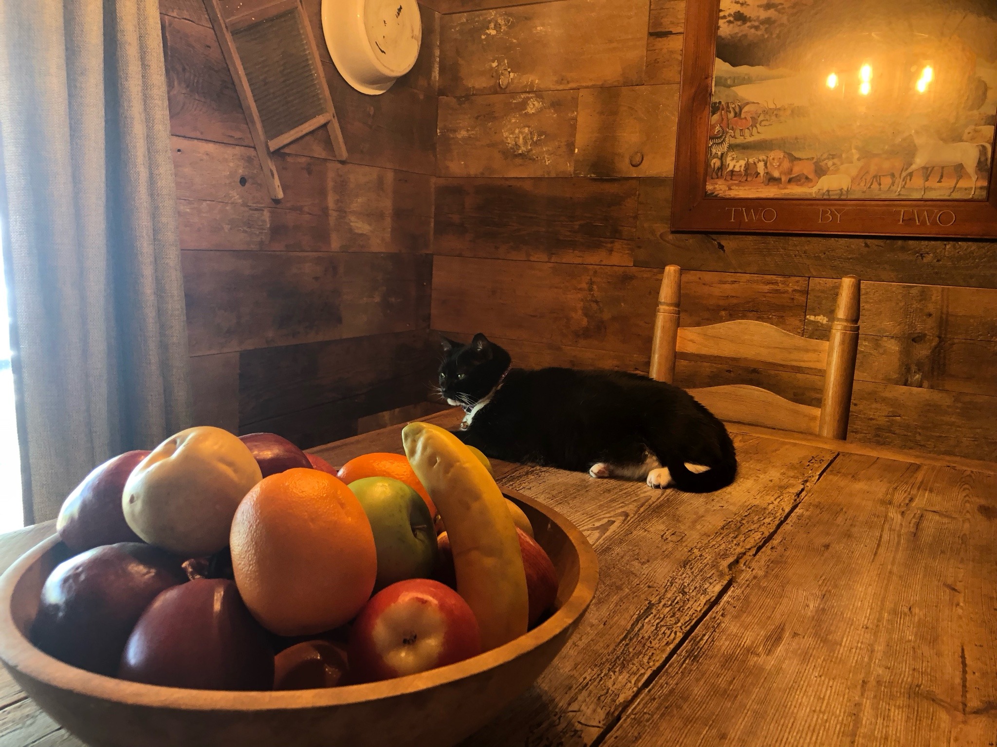 cat on the table next to a fruit bowl